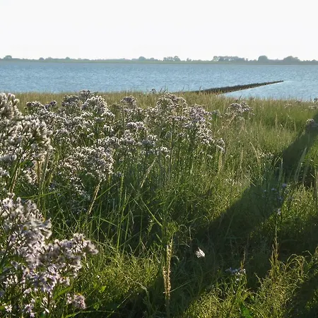 Nordseeblick Husum (Schleswig-Holstein)