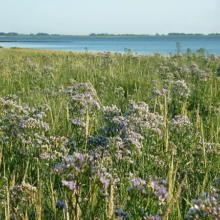 Nordseeblick Husum (Schleswig-Holstein)